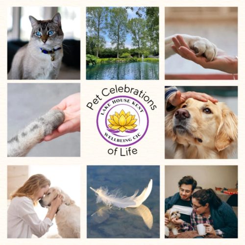 Pet Celebrations